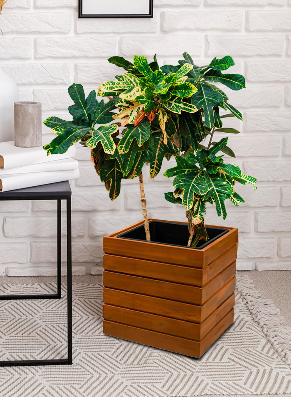 Acacia Wood Planter Box, in 2 Shapes & Sizes