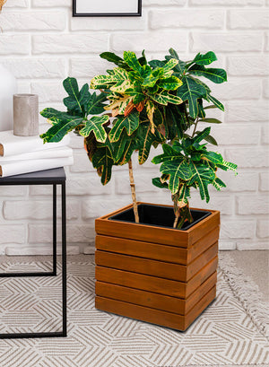Acacia Wood Planter Box, in 2 Shapes & Sizes