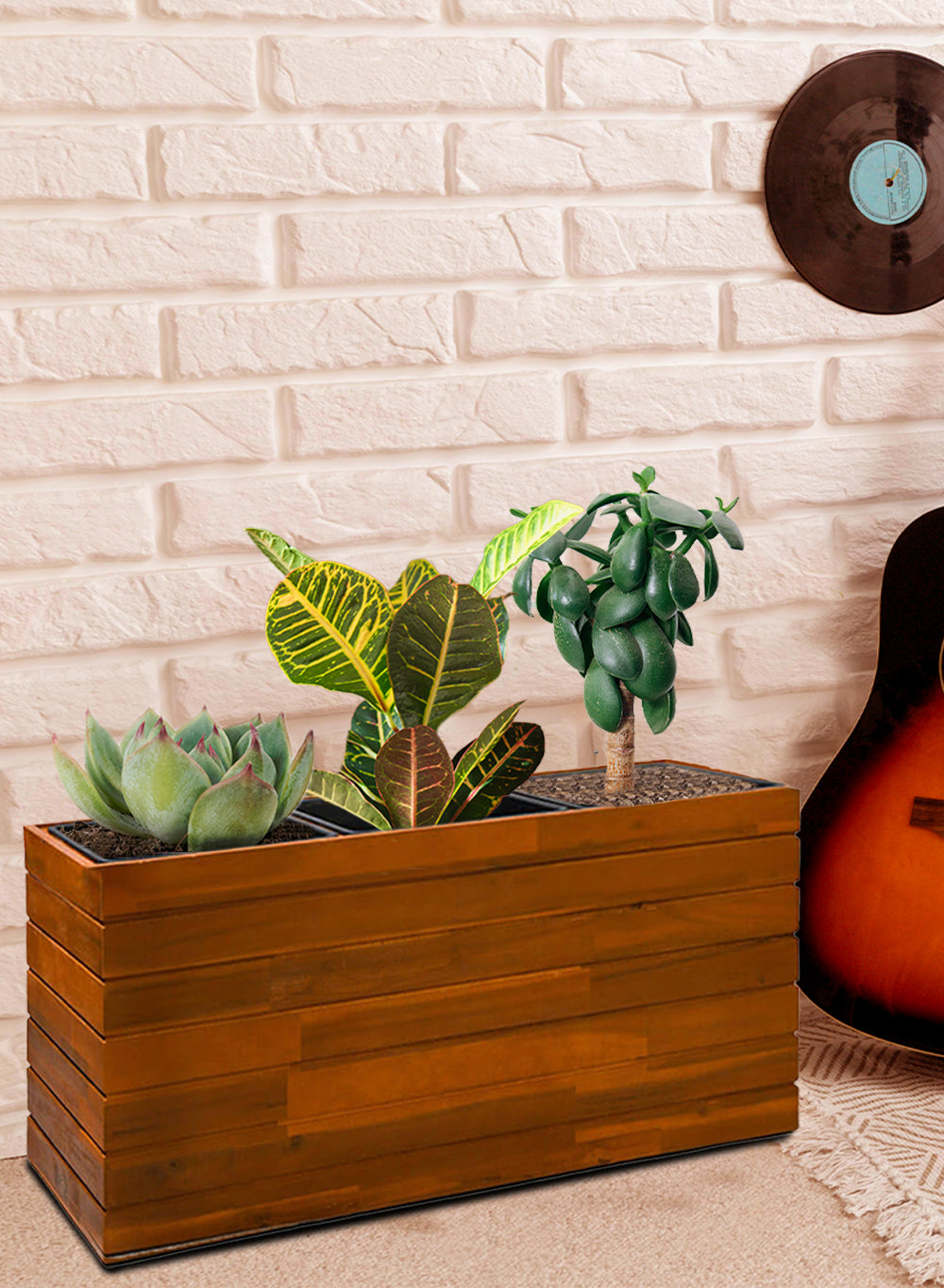 Acacia Wood Planter Box, in 2 Shapes & Sizes