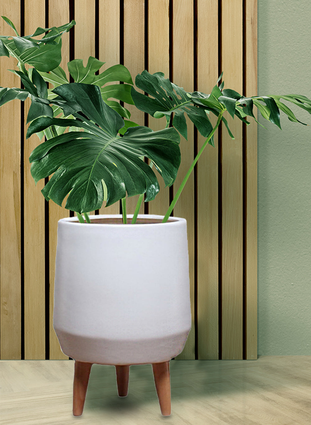 15.75" White Ceramic Pot with Wooden Legs