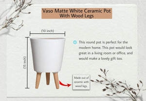 15" Matte White Ceramic Pot with Wooden Legs