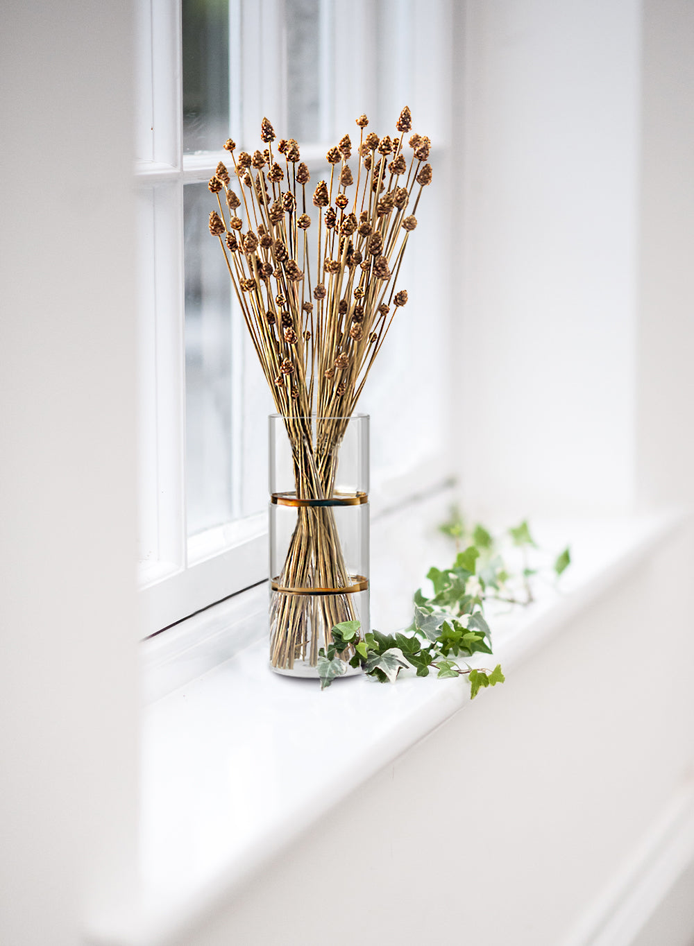 Gold Band Cylinder Glass Vase, in 2 Sizes