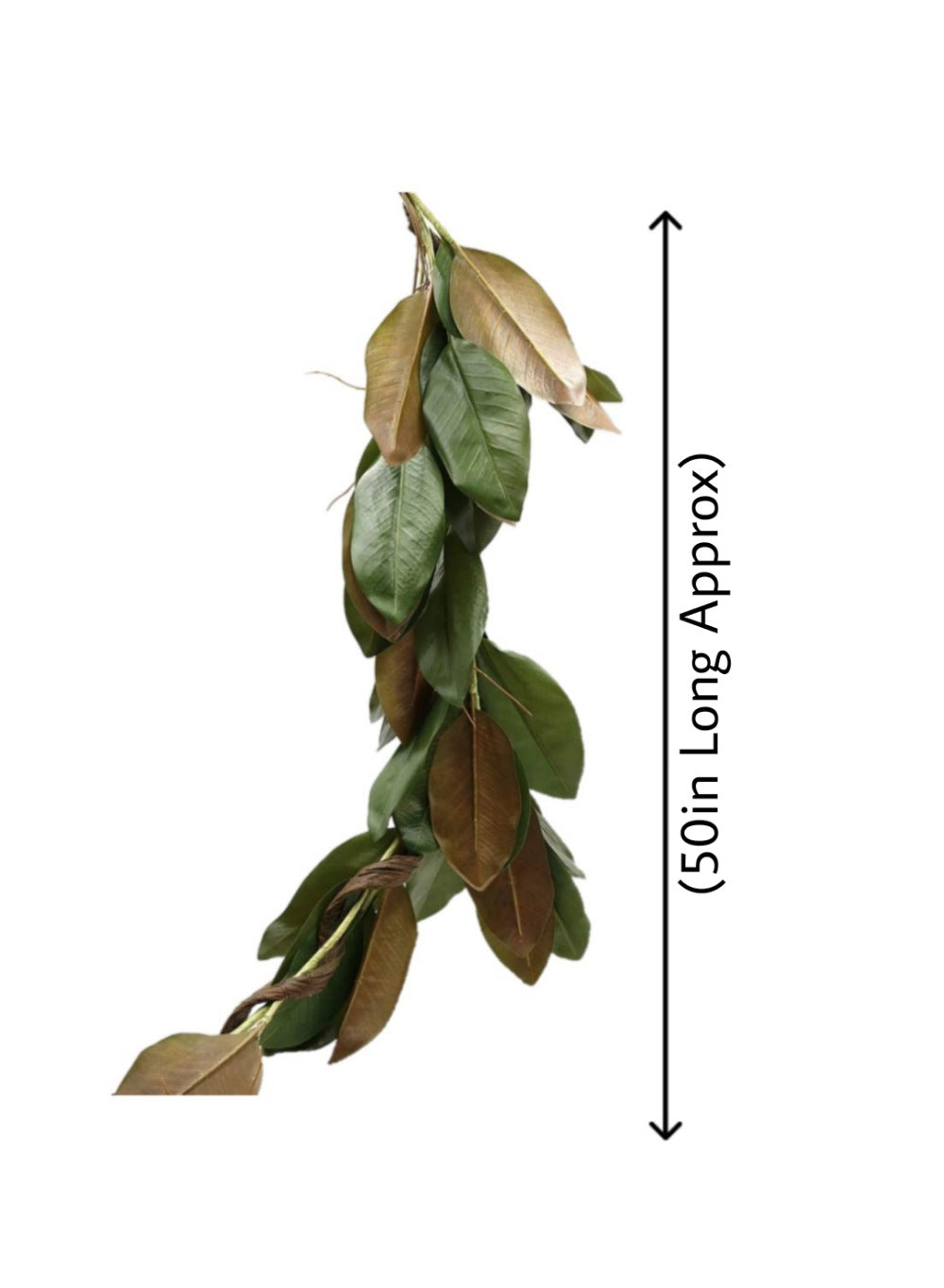 Magnolia Leaf Garland