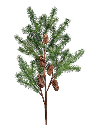 Serene Spaces Living Pine Branch with Pine Cones, Measures 41" Tall & 12" Wide