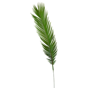 Serene Spaces Living Cycas Palm Leaf, Real Looking Plant Leaves for Decoration, Measures 22" Tall, Pack of 12