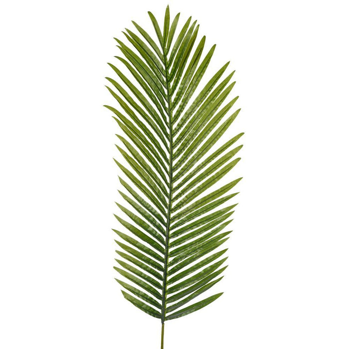 Serene Spaces Living Large Areca Palm Leaf, Real Looking Plant Leaves for Decoration, Measures 44" Tall, Pack of 12