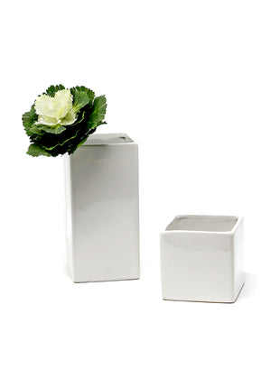 Gloss White Rectangle Vases