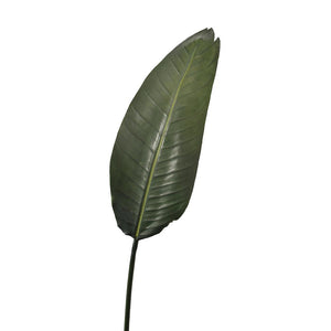 Serene Spaces Living Faux Paradise Leaf, Real Looking Plant Leaves for Decoration, Measures 45" Tall, Pack of 12
