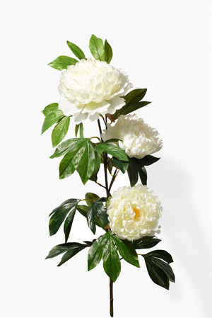 Serene Spaces Living Peach Peony Spray, Measures 43 inch Height, Sold Individually and Pack of 6