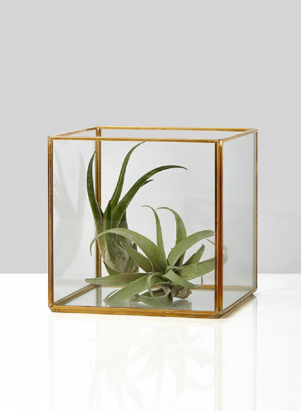 Gold Square Glass Lantern, 5" Cube