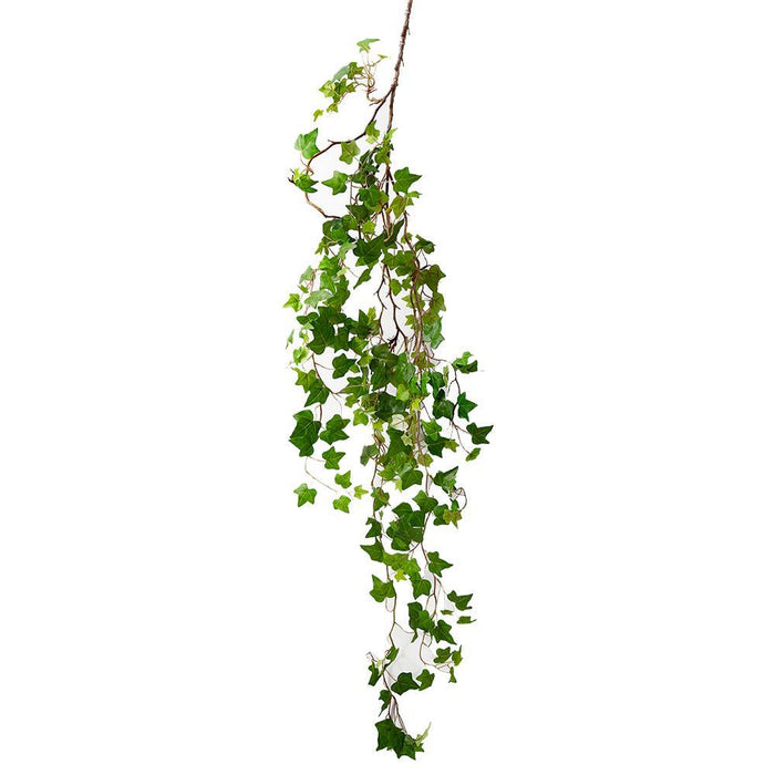 Serene Spaces Living Green Ivy Vine, Natural Decorations for Wedding, Bouquet, Measures 5 Feet Long, Pack of 6
