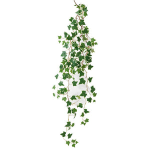 Serene Spaces Living Variegated Ivy Vine, Natural Decorations for Wedding, Bouquet, Measures 50" Long, Pack of 6