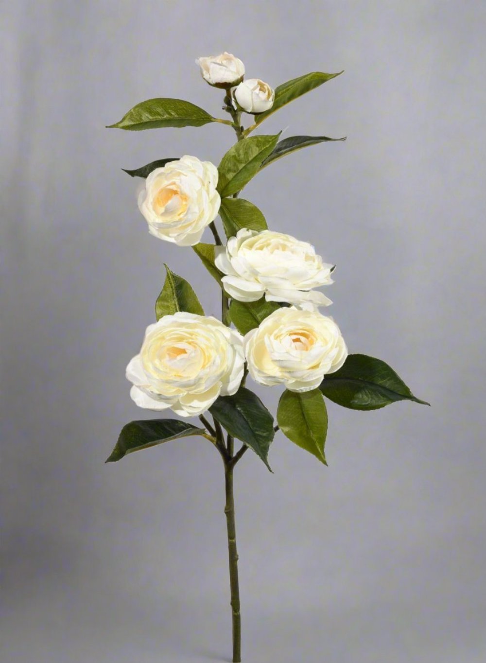 30" Cream Camellia Spray, Sold Individually and Pack of 12