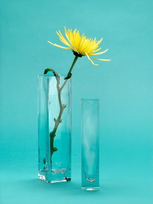 Square Glass Vases, Set Of 4