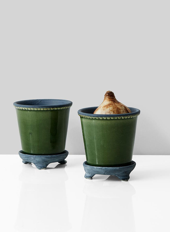 Green Porcelain Pot & Saucer