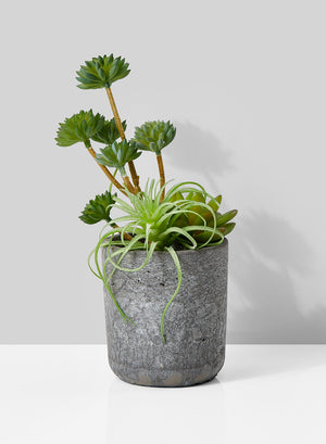 Artificial Mixed Succulents in Grey Round Cement Pot