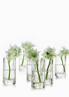 Petite Glass Bud Vases, Set of 4