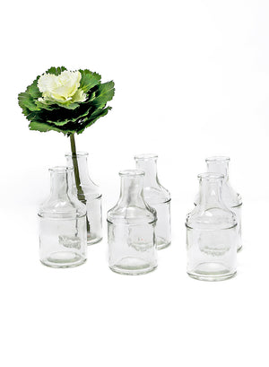 Serene Spaces Living Set of 6 or 72 Glass Bottle Bud Vases, Vintage Medicine Bottle Style – Elegant Vases, 5” Tall by 2.5” Diameter