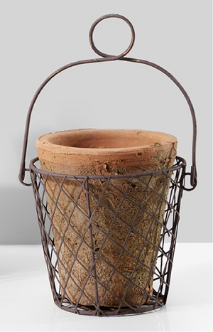 Serene Spaces Living Redstone Moss Pot with Wire Basket, 2 Sizes Available