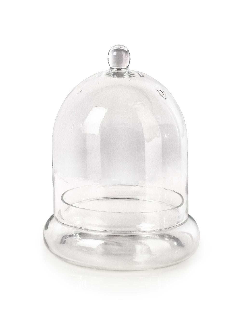 Glass Cloche, in 2 Sizes