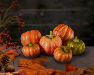 Assorted Harvest Pumpkins, Set of 6 & 7, in 2 Colors