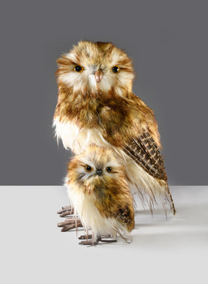 Serene Spaces Living Artificial Feathered Owl, Sold Individually, 3 Options