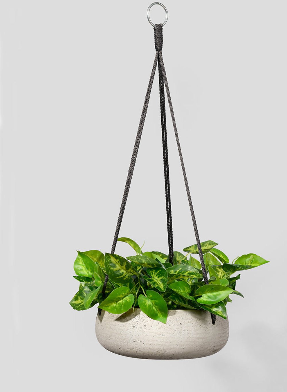 Round Cement Hanging Planter, in 3 Sizes