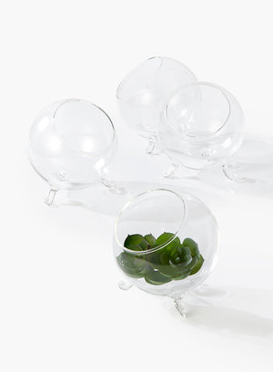 Greenhouse Bowl, in 2 Sizes