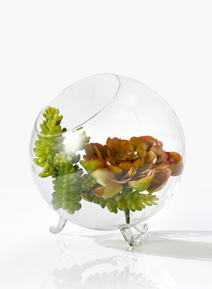 Serene Spaces Living Set of 12 Greenhouse Bowl, Glass Balls for Plants, Succulent Orbs for Centerpiece at Weddings, Events, Measures 6" Tall and 6" Diameter