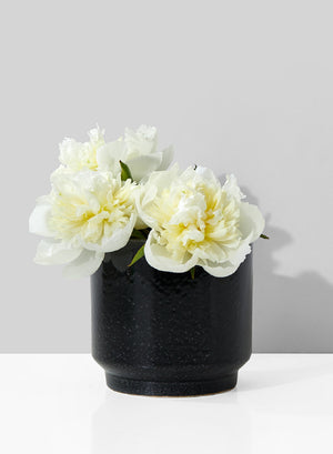 Serene Spaces Living Glossy Black Ceramic Bowl Vase, Available in 3 Sizes
