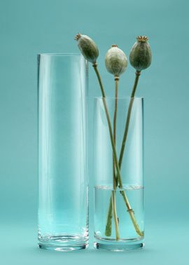 Serene Spaces Living Classic Glass Cylinder Vases