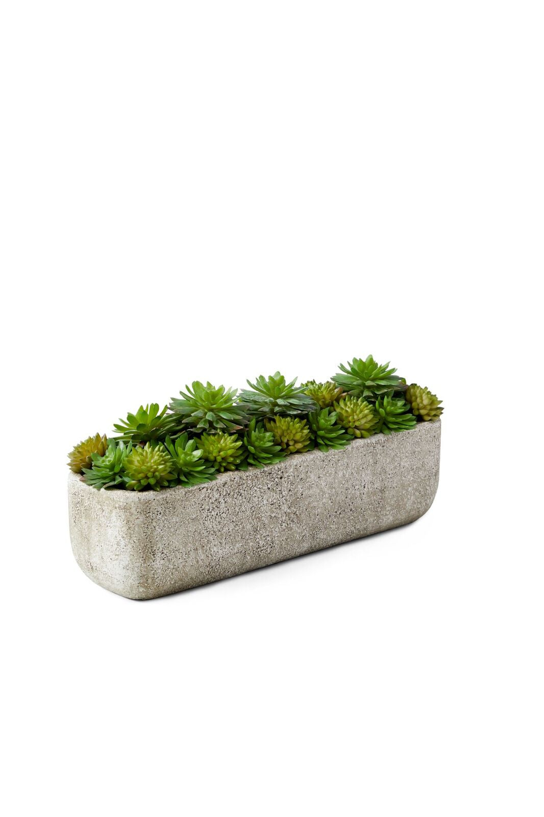 Serene Spaces Living Succulent Mix in Rectangular Planter, 11.5" L x 3" W x 5" H