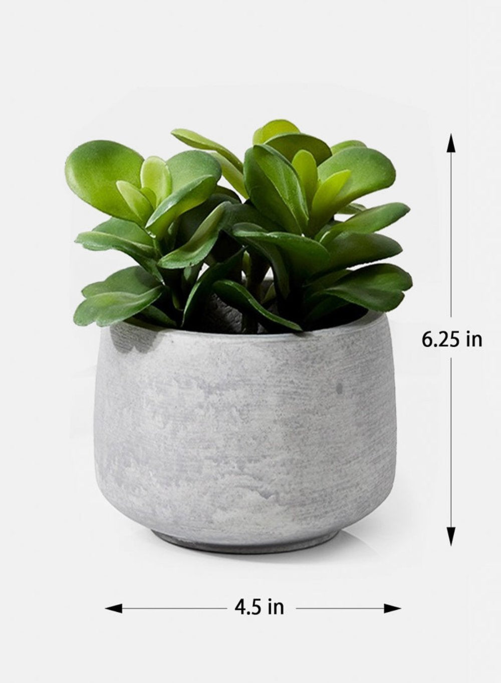 Serene Spaces Living Set of 2 Desert Rose in Grey Pot,4.5" Diameter x 6.25" High