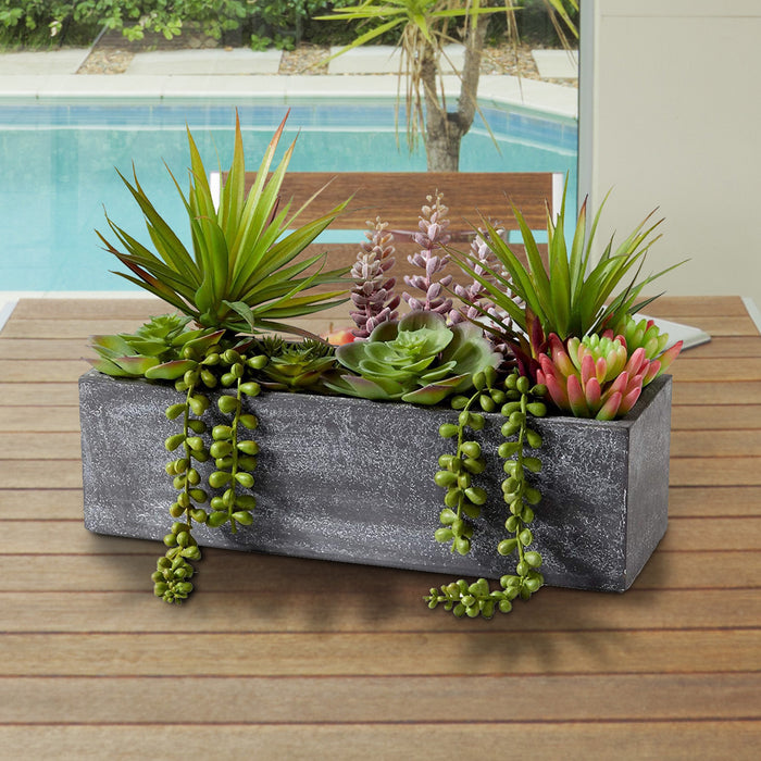 Mixed Succulent in Rectangle Planter, 12" L x 4.5" W x 9" H