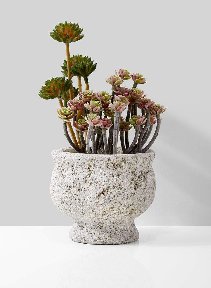 Serene Spaces Living Decorative Pumice Stone Compote, Unique Lava Rock Vase, Measures 4" Tall and 4.5" Diameter, Set of 2
