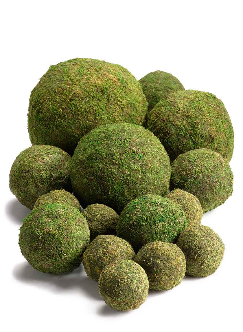 Preserved Moss Balls – Serene Spaces Living