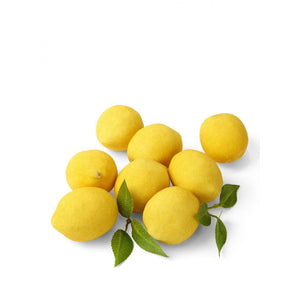 Serene Spaces Living Faux Decorative Lemons with Leaves for Display, Set of 48