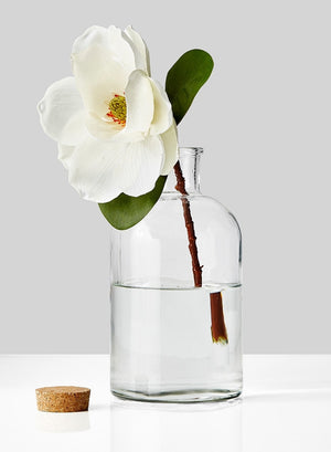 Serene Spaces Living Clear Glass Bottle Vase With Cork, Measures 11 inches Tall, Set of 6