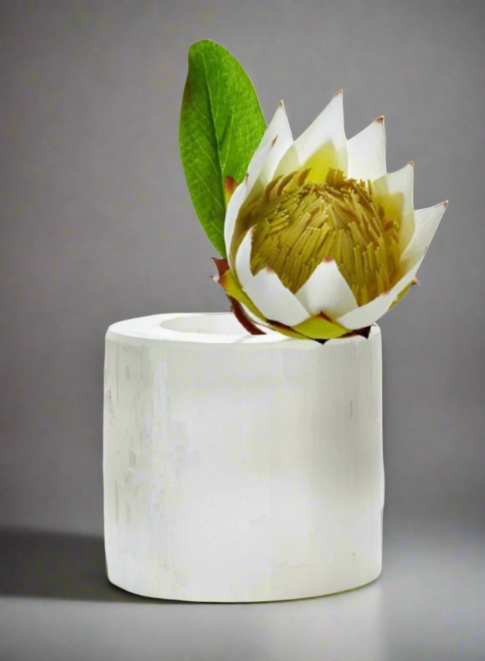 Serene Spaces Living Genuine Selenite Trunk Vase, Floral Centerpiece in 2 Sizes