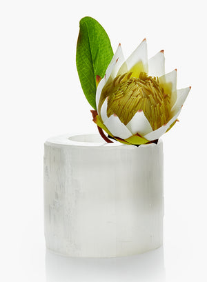 Serene Spaces Living Genuine Selenite Trunk Vase, Floral Centerpiece in 2 Sizes