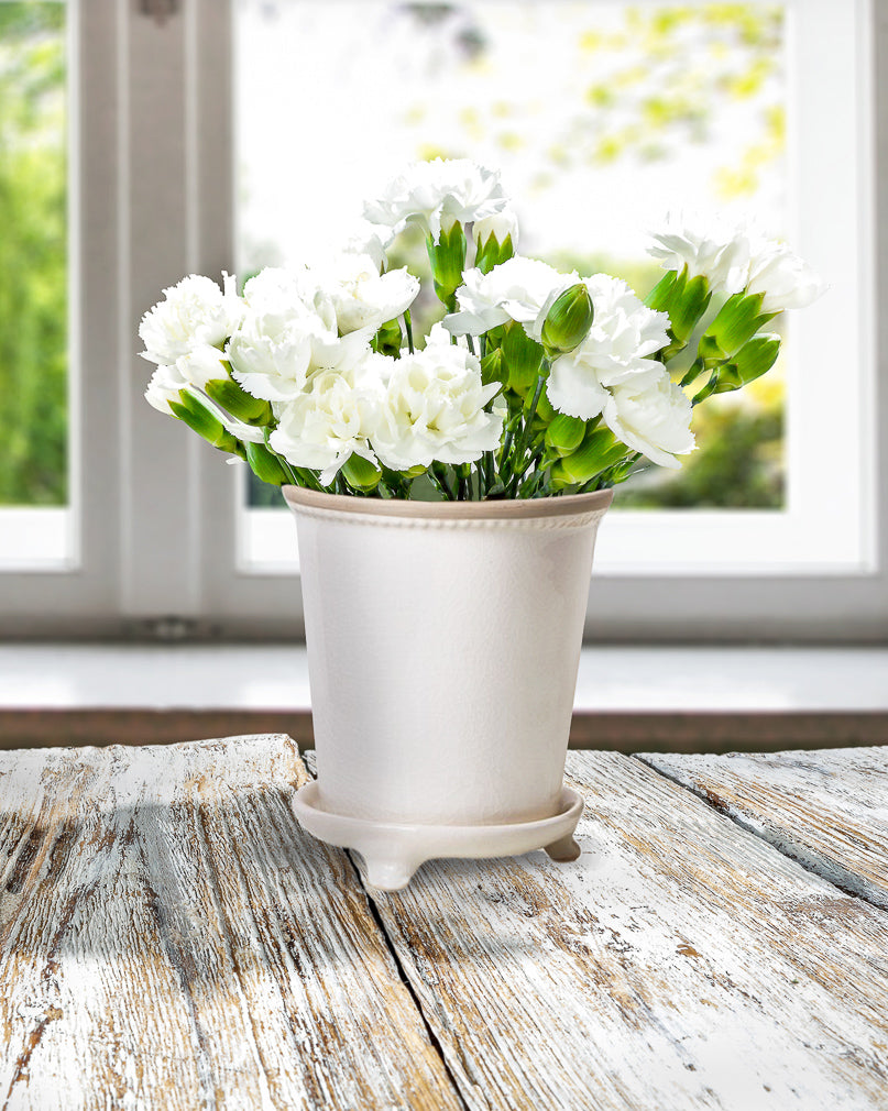 Decorative Vintage White Ceramic Planter Pot and Saucer – Serene