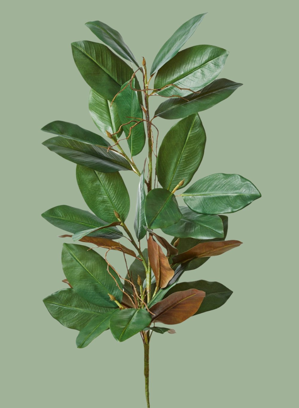 Magnolia Leaf Garland