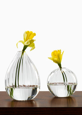 Serene Spaces Living Ribbed Line Glass Bud Vases